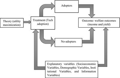 Digital tools and welfare: adoption determinants among ginger producers in Southern and Central Ethiopia